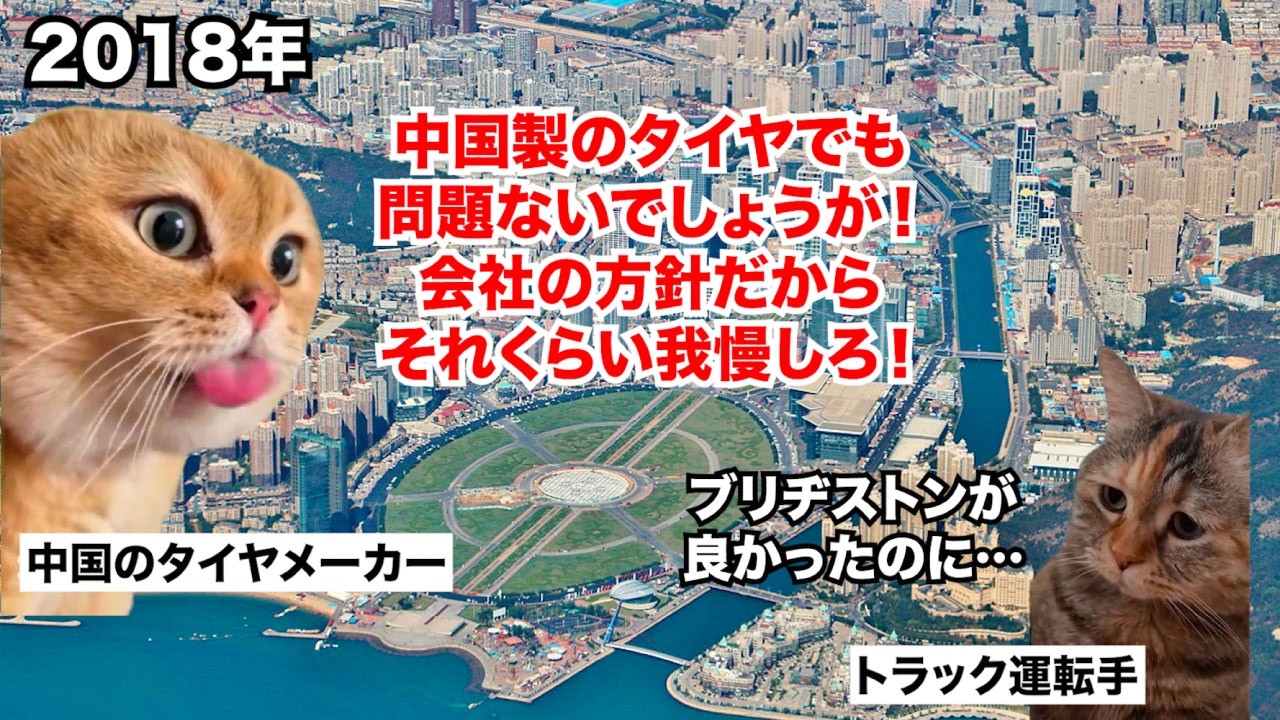 【ブリヂストン 中国撤退】安物買いの銭失い！？日本企業の相次ぐ撤退で窮地に立たされた中国経済 #猫マニ #猫ミーム
