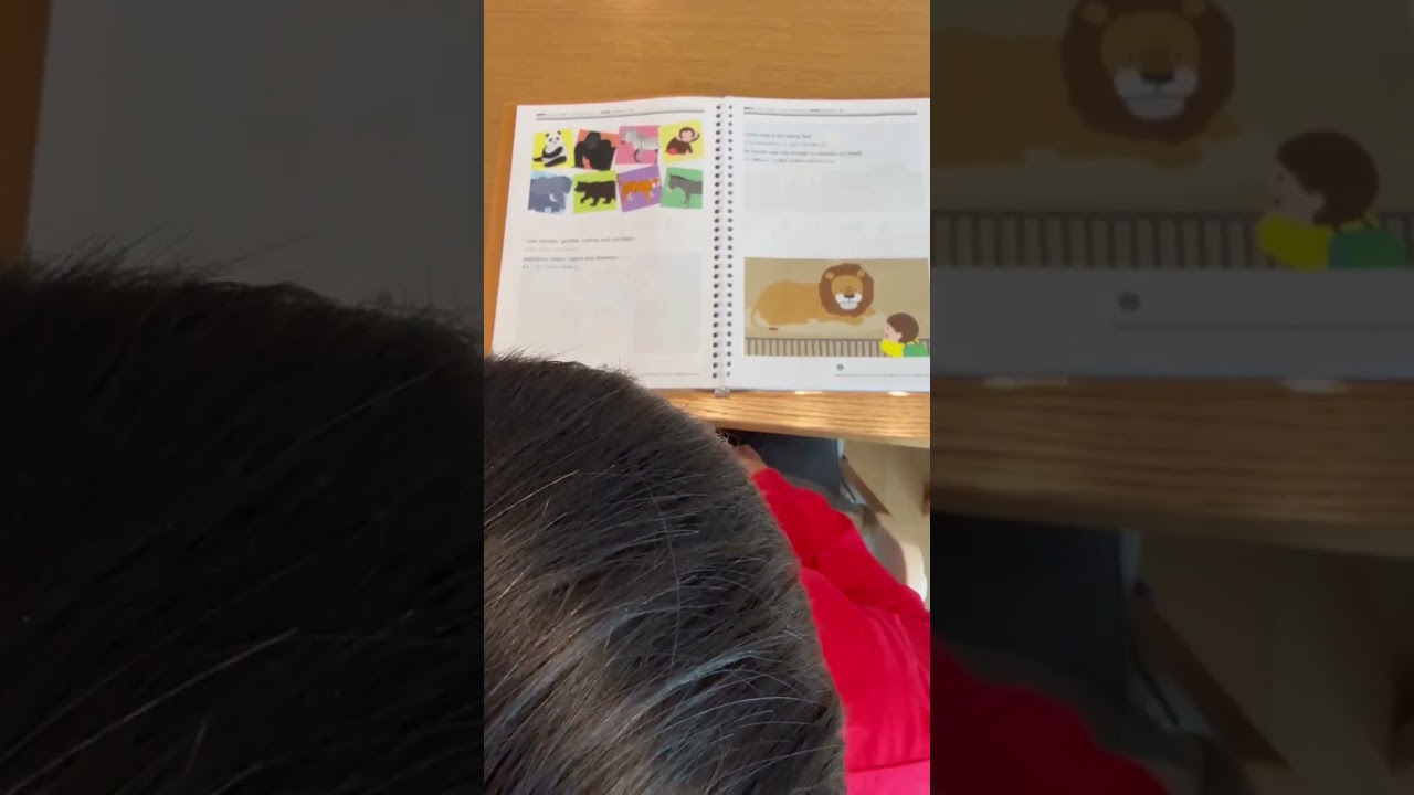 パルキッズジュニア｜小学生向け家庭学習・オンライン英語教材｜英検準