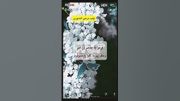 سورة غافر الاية 82-84
