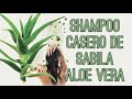 Cómo Hacer Shampoo Casero de Sabila Aloe Vera - Agregalo a tu shampoo