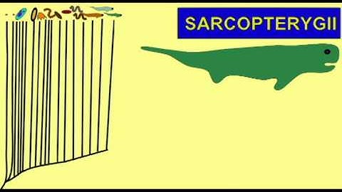 PL1: FIRST TETRAPODS: INTRO