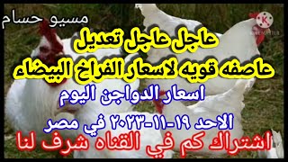 اسعار الفراخ البيضاء اليوم اسعار الدواجن اليوم الاحد ١٩-١١-٢٠٢٣ في مصر