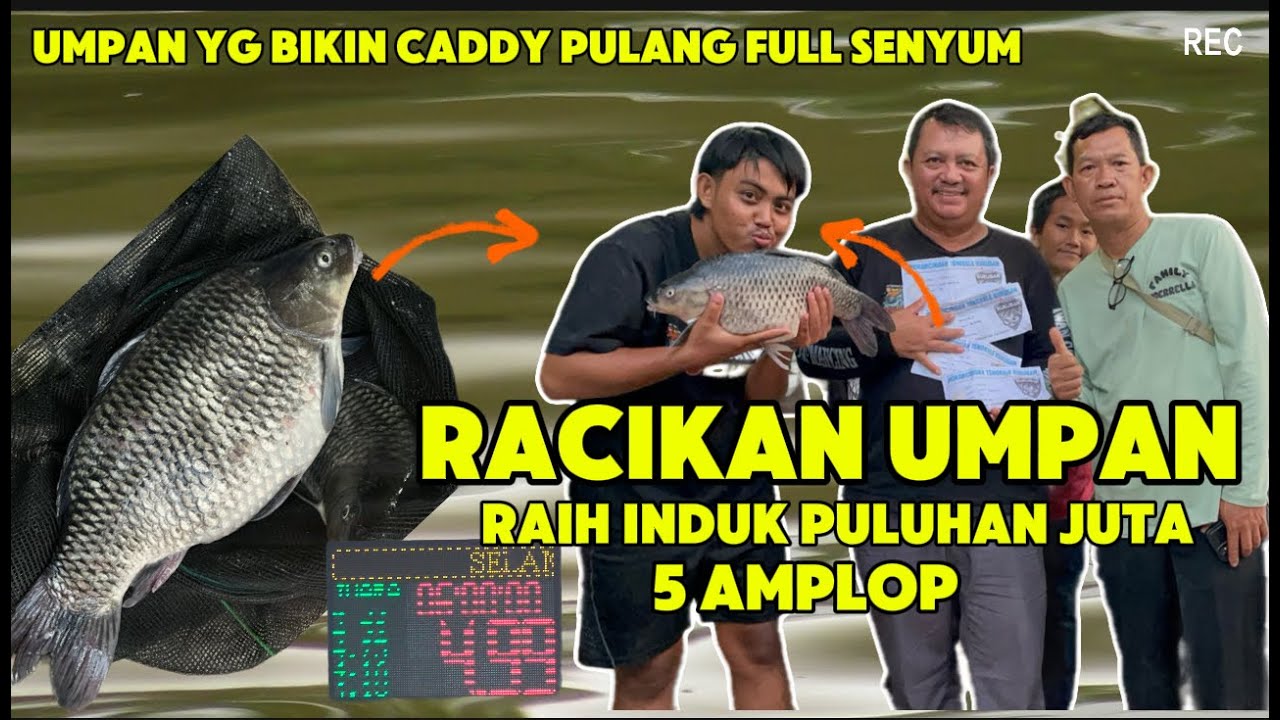 RACIKAN UMPAN IKAN MAS SUPER PRIMADONA‼️INDUK 1 LANGSUNG KEPINCUT‼️PEMAMCINGAN TENGKELE KUKUSAN