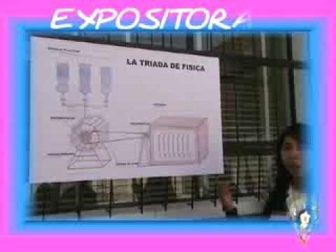 Experimentos de Fisica 1