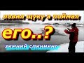 Поймал красивейшую рыбу. Зимний спиннинг.