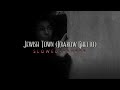 John williams  jewish town krakow ghetto slowed  reverb