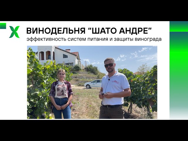 Шато андре хутор школьный. Шато Андре винодельня. Винодельня Шато Андре Хутор школьный. Шато Андре Крымск. Шато Андре свадьба.