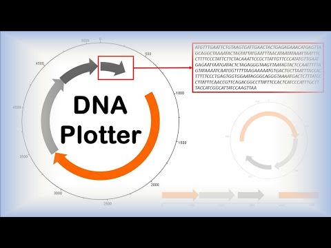 Artemis - DNA Plotter - sequence annotations.