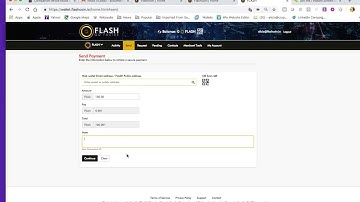 FLASH Web Wallet Tutorial - How To Use Merchant Tools - Accept FLASH