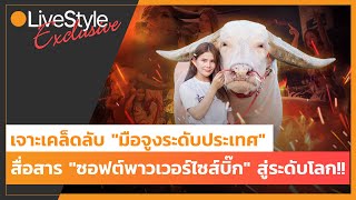 [Interview] เจาะ "มือจูงระดับประเทศ" เคล็ดลับสื่อสาร "ซอฟต์พาวเวอร์ไซส์บิ๊ก" ดันควายไทยไประดับโลก!!