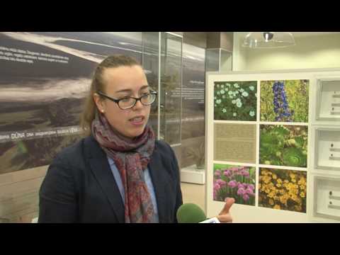 Video: Kā iekļūt pasaules bagātāko valstu sarakstā