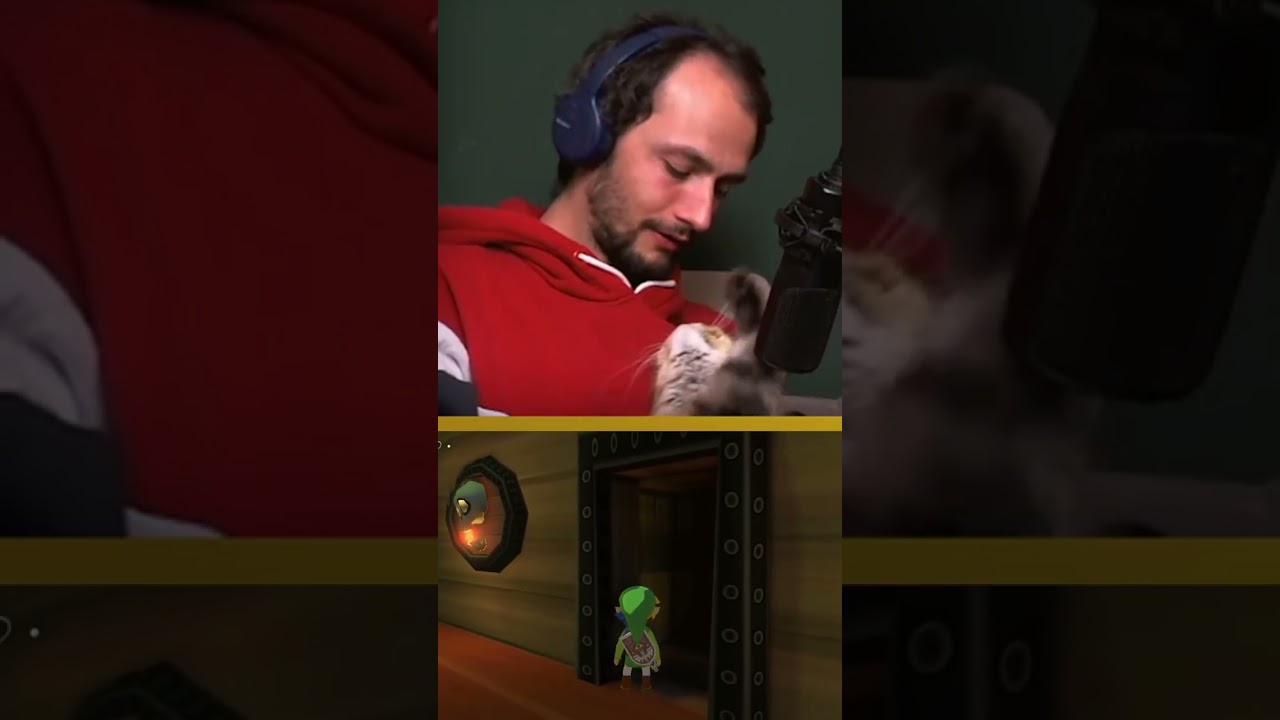 Max und Daisy in Love 💜 #cat #streamer #cute #gaming