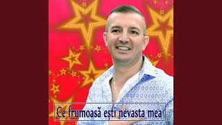 Video thumbnail of "Călin Crișan - Iar S-A Imbatat Tata"