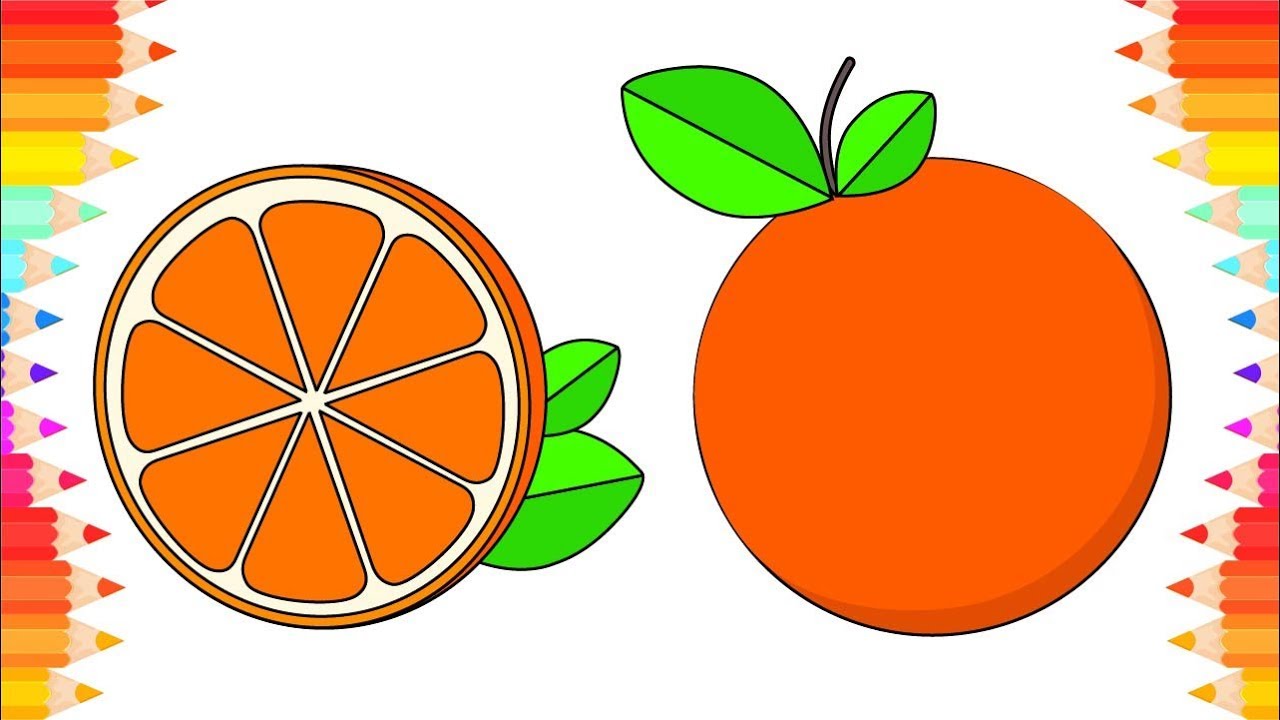 How to Draw Fruits - Orange for Kids🍊 Step by Step ...