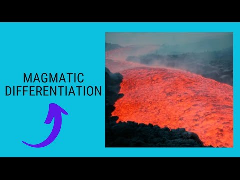 Video: Când are loc segregarea magmatică?