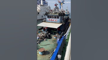 Port operations💥🛳️🌊 #shorts #automobile