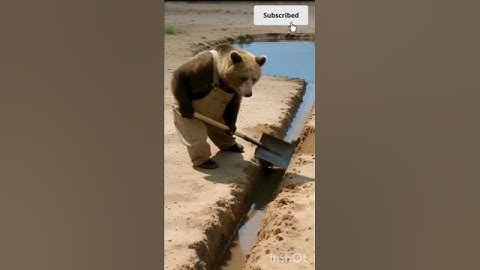 The dear saved the guava plant from drying up by watering it 😭 #ai #tree #save #watering