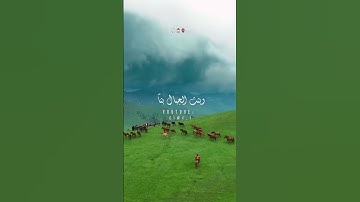 ما تيسّر من سورة الواقعة 💜🌤 القارئ بلال دربالي 🍃 #قران_كريم