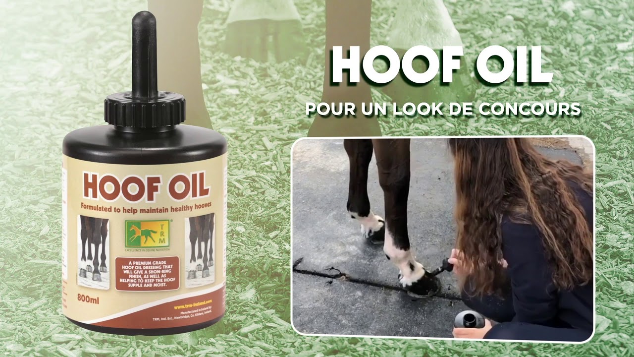 HOOF OIL, HOOFMAKER & EQUIZAL - Le trio des vainqueurs!