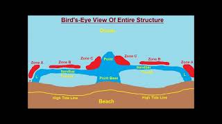 Reading The Beach - "Where's The Fish" - The View From The Beach
