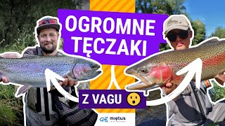 Żyłka przyponowa Gamakatsu G-Line Fluorocarbon 50m, przezroczysta video