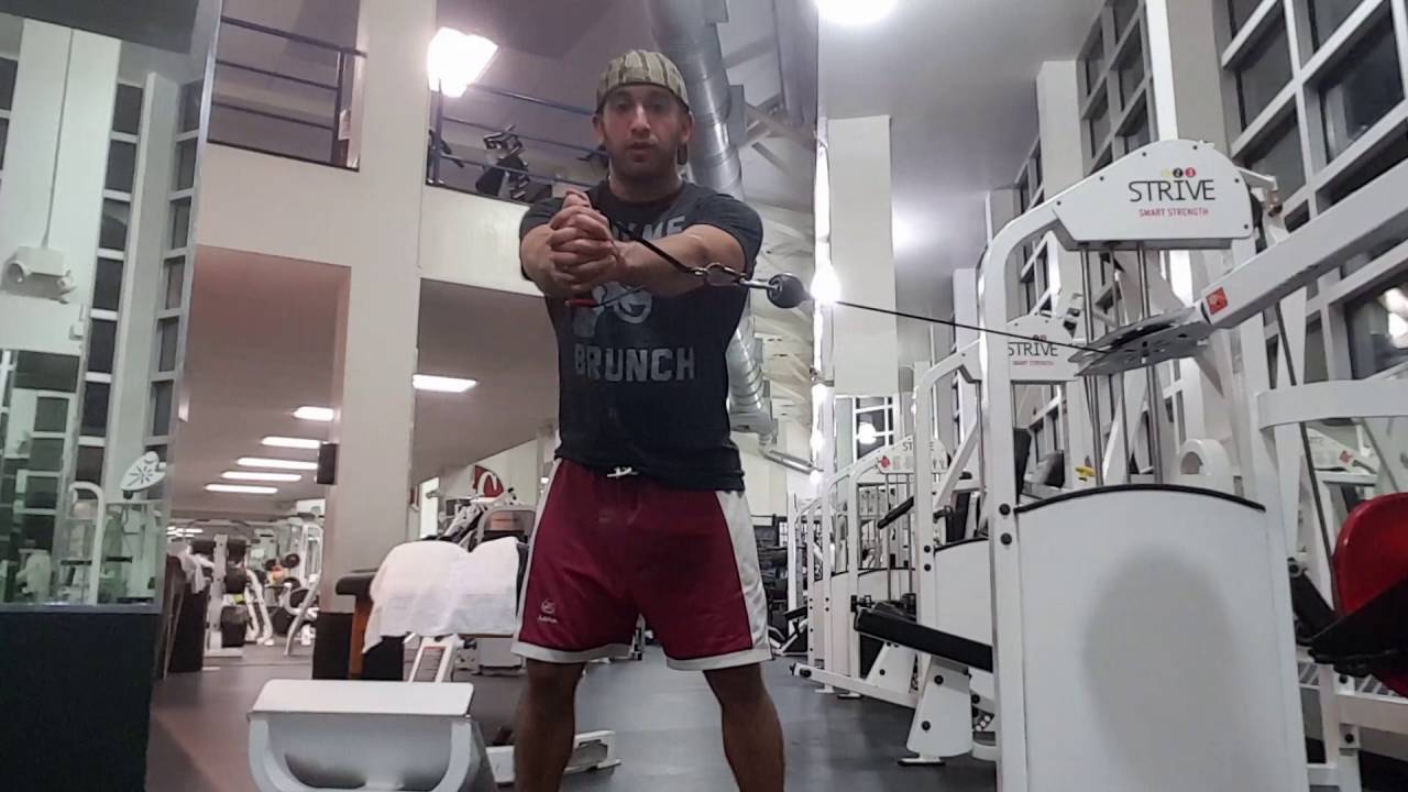 Pallof Press Exercise Video Tutorial - YouTube
