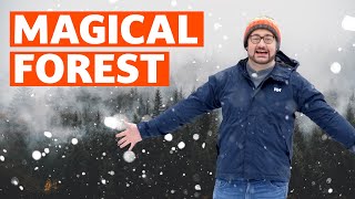 We Cruise to the Snowy Black Forest in Germany