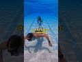 How to swim underwater 💦💦