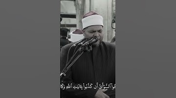 الشيخ محمد سالم عامر /صلاة التراويح/الجامع الأزهر الشريف بالقاهرة رمضان 1446/2025 سورة الروم