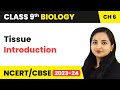 Introduction | Tissue | Biology | Class 9 | Magnet Brains