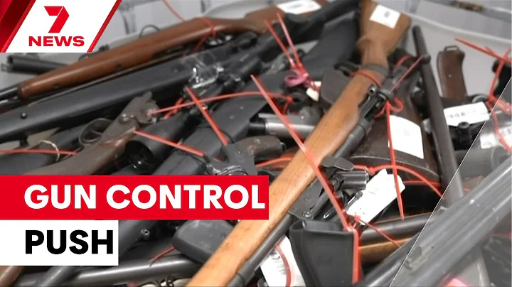 Gun control advocates push for stricter laws after Bondi | 7NEWS