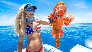 Famous This Fish Can KILL You! Catch Clean Cook- DEADLY VENOMOUS Scorpionfish! Profile