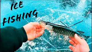 Catchingpickerelon Tip Ups Nonstop Stop Action