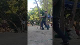 Love Begins With One Hello