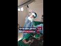 نجاح أول عملية جراحية بمستشفى باسندة الريفي في القضارف بعد توقف دام 18 عاما