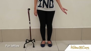 How To Use A Quad Cane Effectively