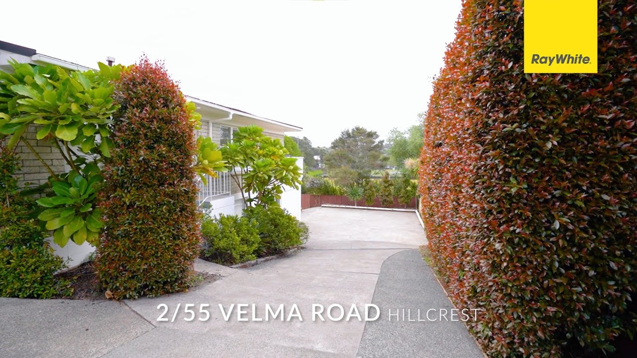 2/55 Velma Road, Hillcrest Derek von Sturmer & Josh Kumar YouTube