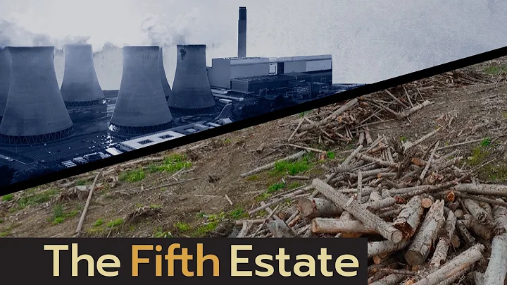 Why wood from B.C. forests is burning to fuel U.K....