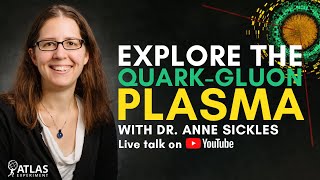 How to study matter at a trillion degrees  Live talk and Q&A with Dr Anne Sickles