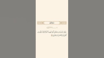 سورة النحل: الآية 84 #قران_كريم #قرآن #اكسبلور #quran #راحة_نفسية #سورة_النحل