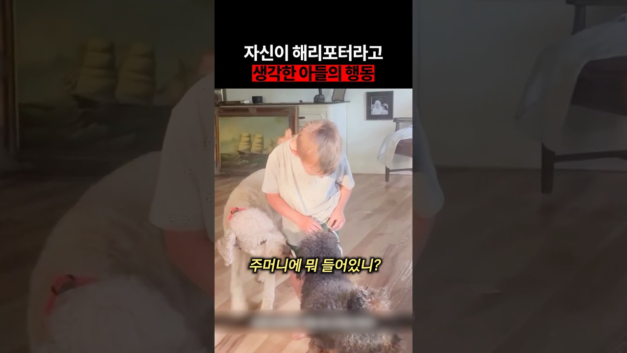 자신이 해리포터라고 생각한 아들의 행동
