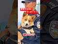 可愛過ぎてスカウトされました