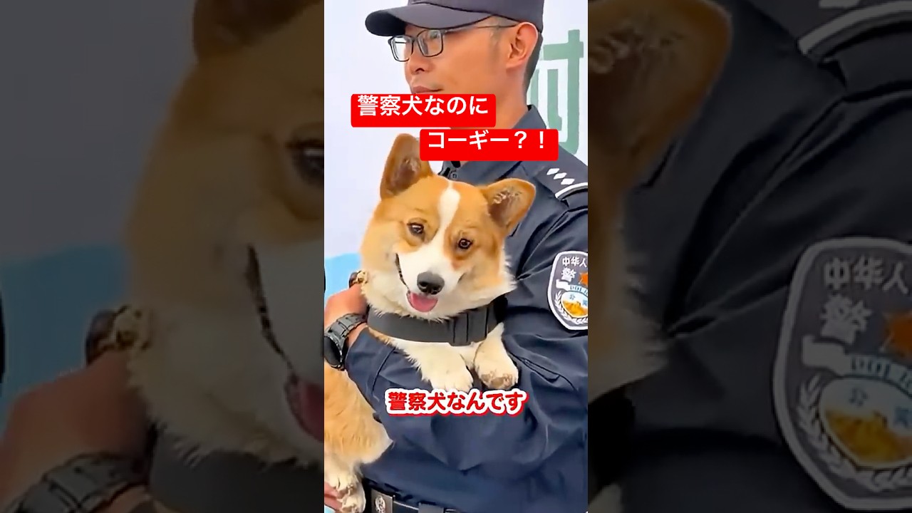 可愛過ぎてスカウトされました