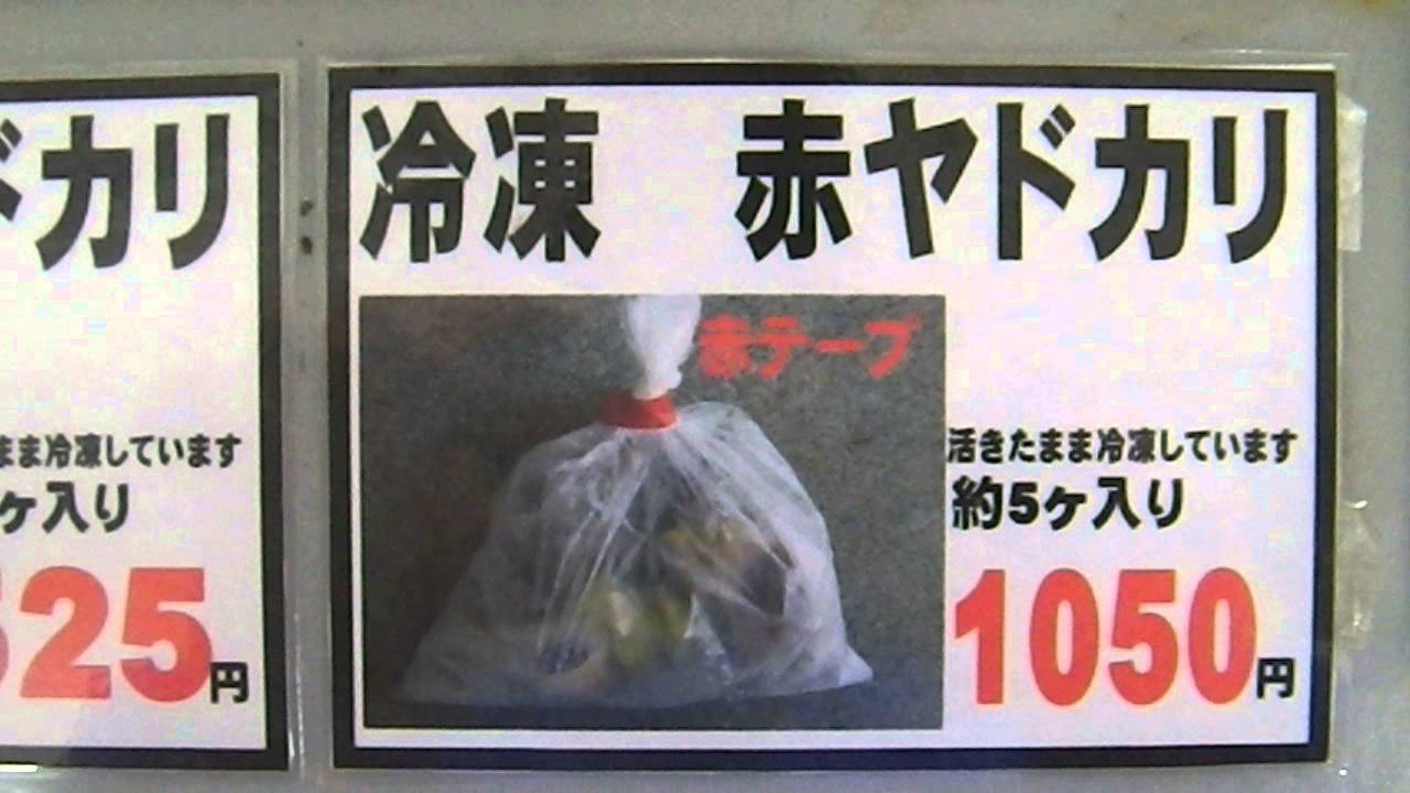 専用出品!ヤドカリ大(冷凍)釣餌にどうぞ! 冷凍ヤドカリ 石鯛 専用出品!ヤドカリ大(冷凍)釣餌にどうぞ! 冷凍ヤドカリ 石鯛
