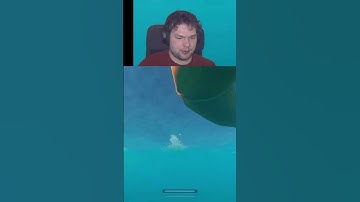 strange encounter in Stranded Deep