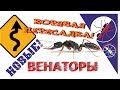 НОВЫЕ муравьи Harpegnathos venator. Корявая пересадка.