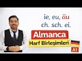 Almanca Harf Birleşimleri A1 Harf Birleşimleri Okunuşu Ch Sch Ei Ie Eu äu Ders 2 2026