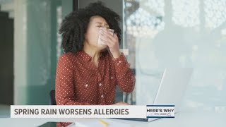 Rain can make seasonal allergies worse. Here's why.