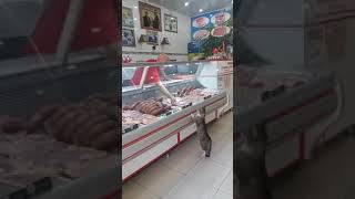 Un client régulier dans un boucherie