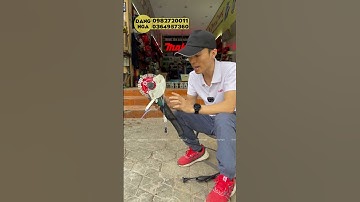 Cơ hội để anh em có thể trải nghiệm dòng máy cắt tường không chổi than boda blc1-156s